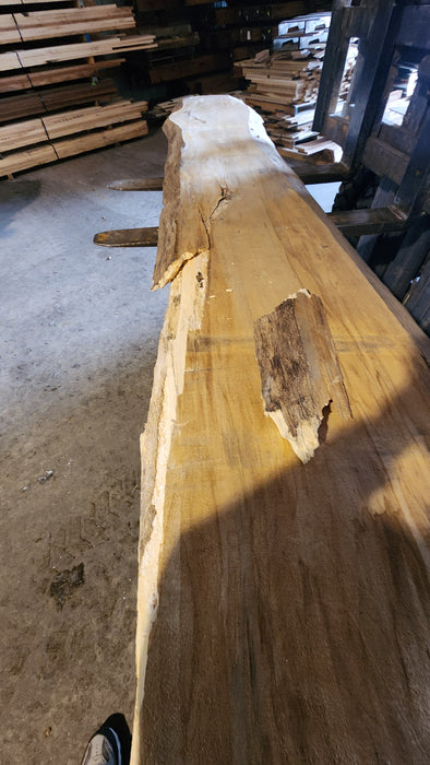 Cottonwood #7405(OC) - 2" x 15" to 28" x 142" FREE SHIPPING within the Contiguous US.