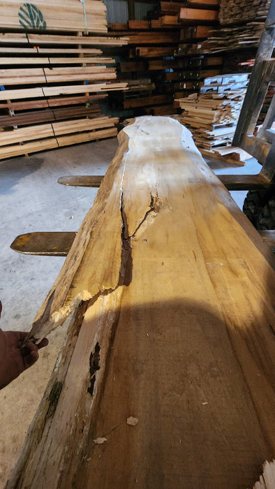 Cottonwood #7405(OC) - 2" x 15" to 28" x 142" FREE SHIPPING within the Contiguous US.