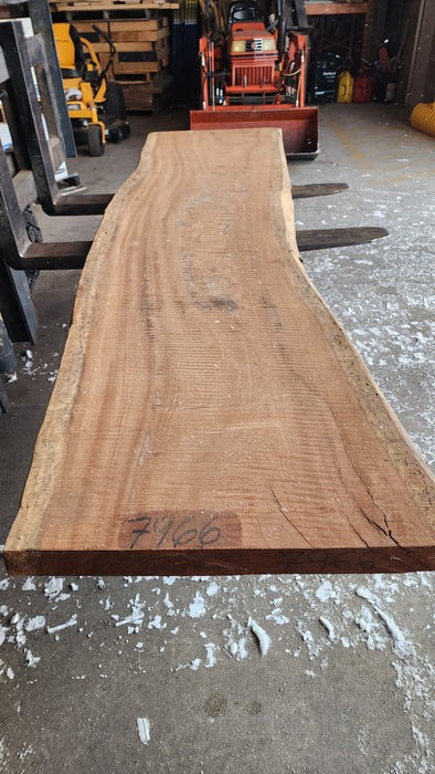 Angelim Pedra #7966 - 2" x 26" to 29" x 109" FREE SHIPPING within the Contiguous US.