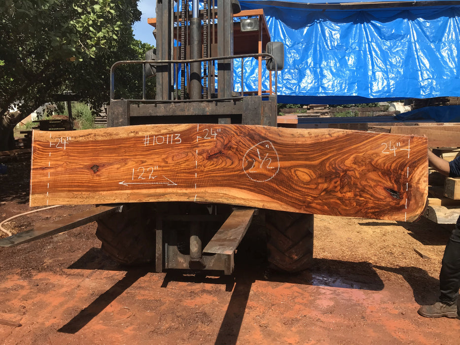 Jatoba / Brazilian #10113 –2-1/2″ x  24"  x   122" FREE SHIPPING within the Contiguous US. freeshipping - Big Wood Slabs