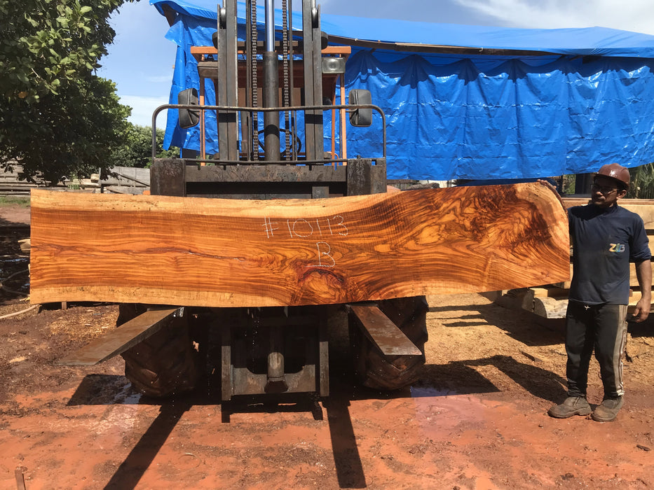 Jatoba / Brazilian #10113 –2-1/2″ x  24"  x   122" FREE SHIPPING within the Contiguous US. freeshipping - Big Wood Slabs