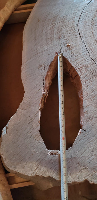 Cumaru / Brazilian Teak #4587 -1-3/4" x 24" to 42" x 54" FREE SHIPPING within the Contiguous US. freeshipping - Big Wood Slabs