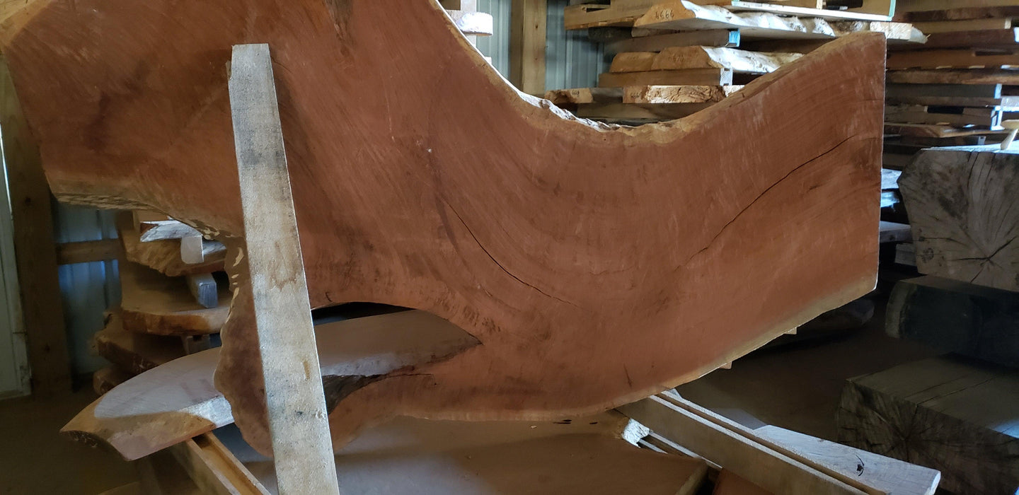 Cumaru / Brazilian Teak #4587 -1-3/4" x 24" to 42" x 54" FREE SHIPPING within the Contiguous US. freeshipping - Big Wood Slabs