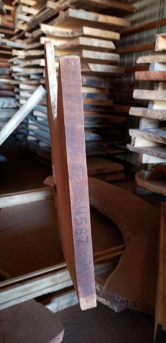 Cumaru / Brazilian Teak #4587 -1-3/4" x 24" to 42" x 54" FREE SHIPPING within the Contiguous US. freeshipping - Big Wood Slabs