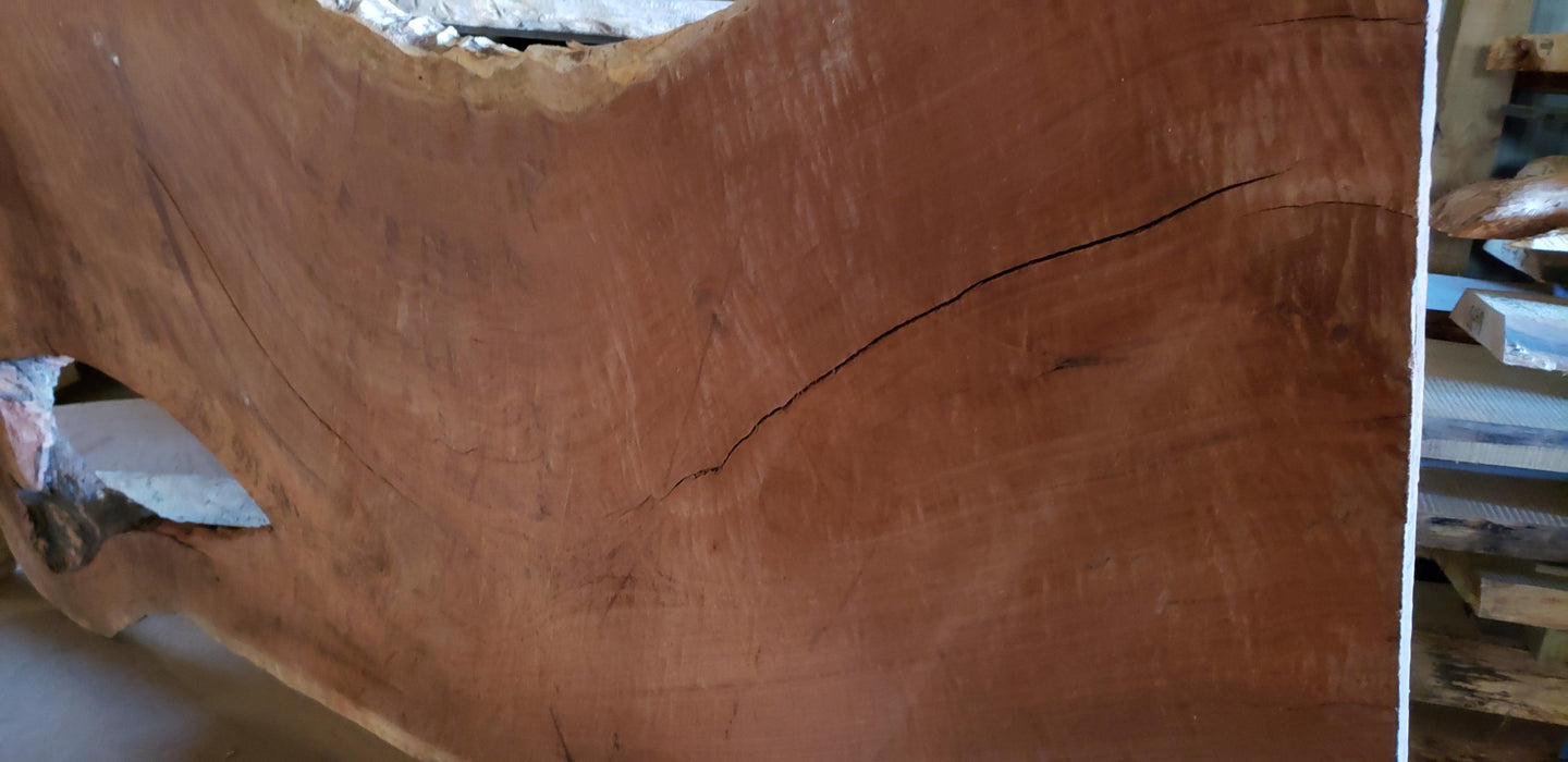 Cumaru / Brazilian Teak #4587 -1-3/4" x 24" to 42" x 54" FREE SHIPPING within the Contiguous US. freeshipping - Big Wood Slabs