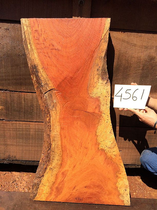 Cumaru / Brazilian Teak #4561 - 2-1/2" x 14" to 23" x 42" FREE SHIPPING within the Contiguous US. freeshipping - Big Wood Slabs