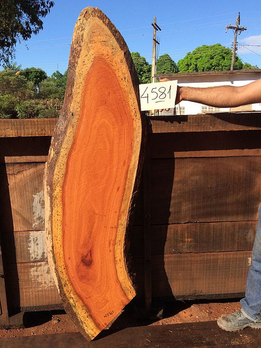 Cumaru / Brazilian Teak #4581 - 2-1/8" x 14" to 16" x 60" FREE SHIPPING within the Contiguous US. freeshipping - Big Wood Slabs