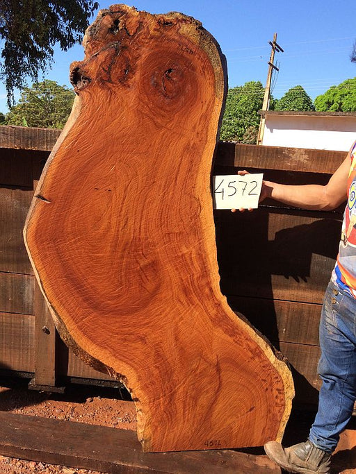 Cumaru / Brazilian Teak #4572 - 2" x 21" to 26" x 68" FREE SHIPPING within the Contiguous US. freeshipping - Big Wood Slabs