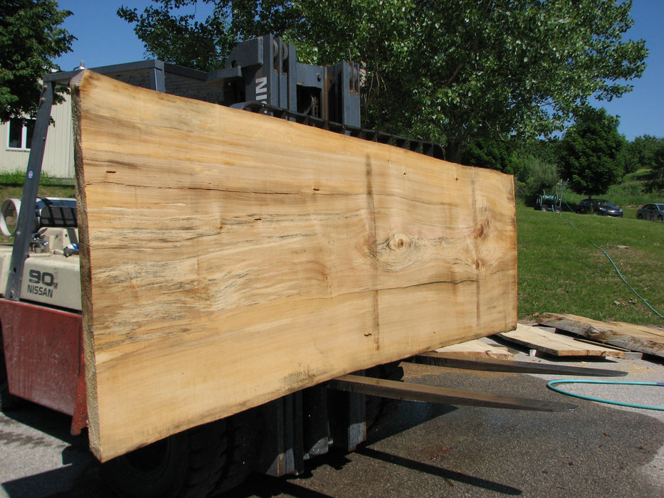 Cottonwood #7296(OC) - 2-1/4" x 41" to 48" x 138" FREE SHIPPING within the Contiguous US. freeshipping - Big Wood Slabs