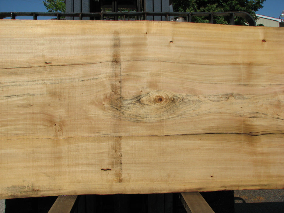 Cottonwood #7296(OC) - 2-1/4" x 41" to 48" x 138" FREE SHIPPING within the Contiguous US. freeshipping - Big Wood Slabs