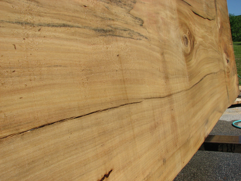 Cottonwood #7296(OC) - 2-1/4" x 41" to 48" x 138" FREE SHIPPING within the Contiguous US. freeshipping - Big Wood Slabs