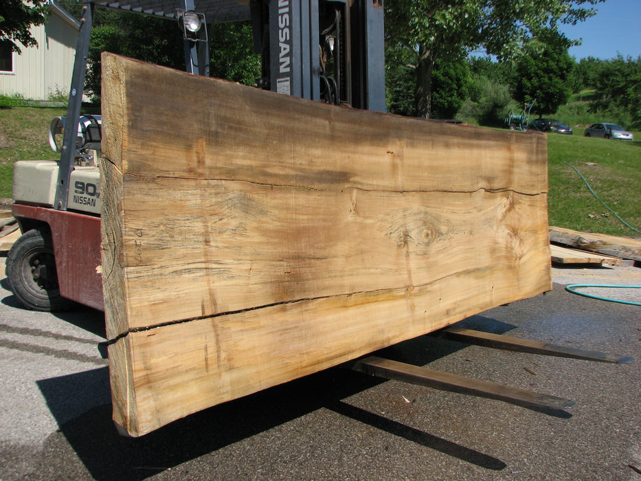 Cottonwood #7297(OC) - 5" x 44" to 50" x 140" FREE SHIPPING within the Contiguous US. freeshipping - Big Wood Slabs