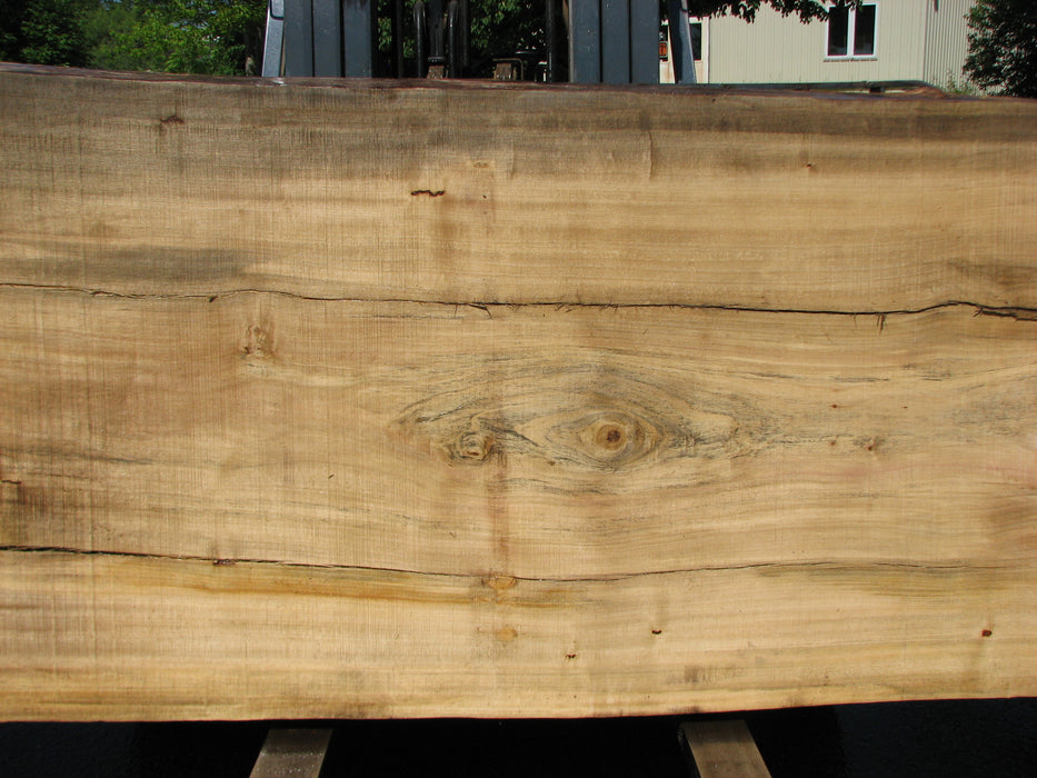 Cottonwood #7297(OC) - 5" x 44" to 50" x 140" FREE SHIPPING within the Contiguous US. freeshipping - Big Wood Slabs