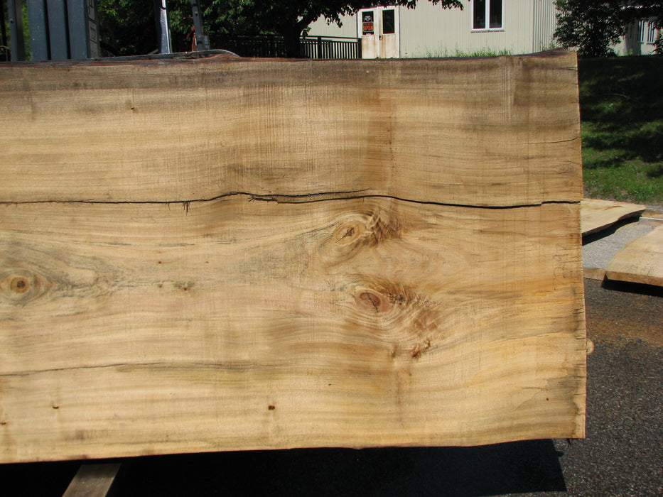 Cottonwood #7297(OC) - 5" x 44" to 50" x 140" FREE SHIPPING within the Contiguous US. freeshipping - Big Wood Slabs