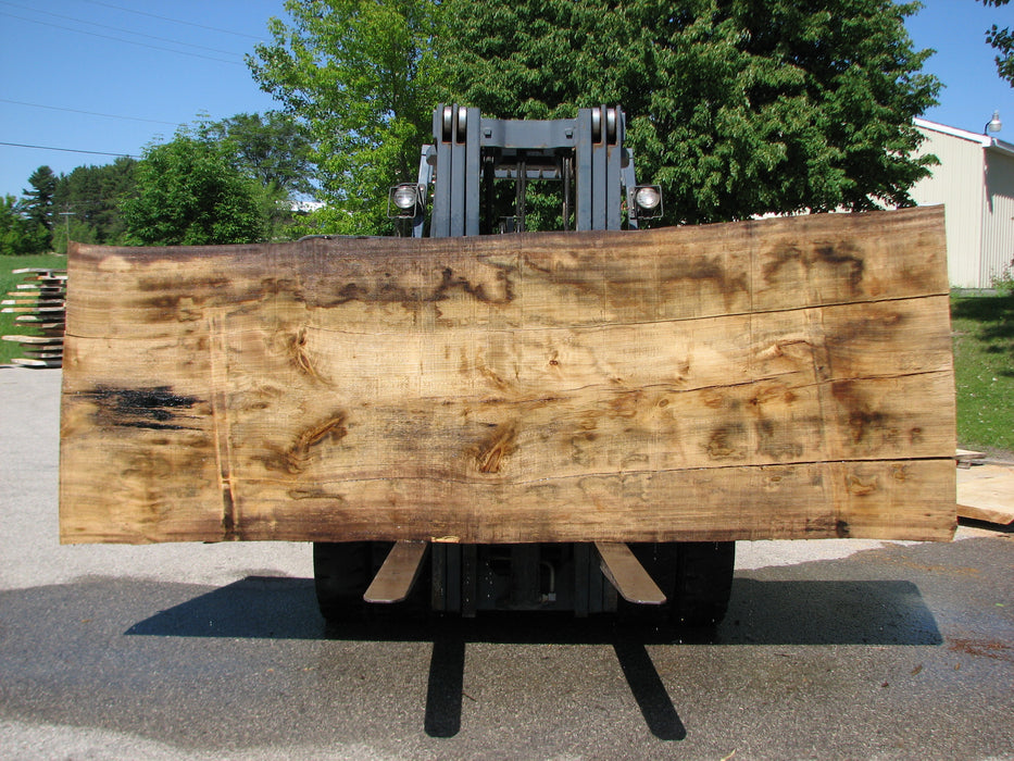 Cottonwood #7297(OC) - 5" x 44" to 50" x 140" FREE SHIPPING within the Contiguous US. freeshipping - Big Wood Slabs