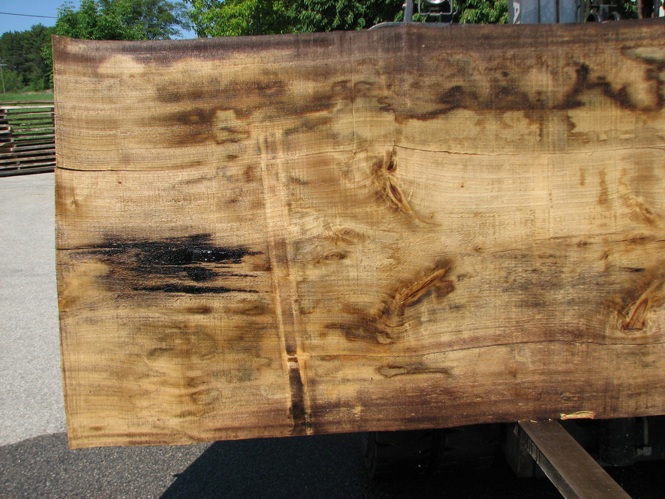 Cottonwood #7297(OC) - 5" x 44" to 50" x 140" FREE SHIPPING within the Contiguous US. freeshipping - Big Wood Slabs