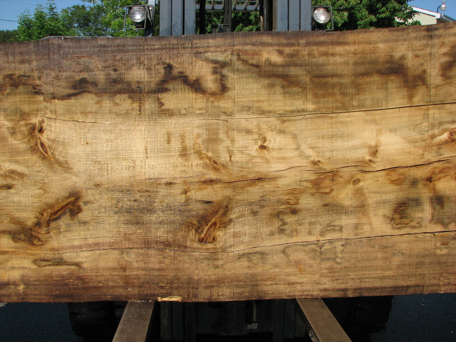 Cottonwood #7297(OC) - 5" x 44" to 50" x 140" FREE SHIPPING within the Contiguous US. freeshipping - Big Wood Slabs