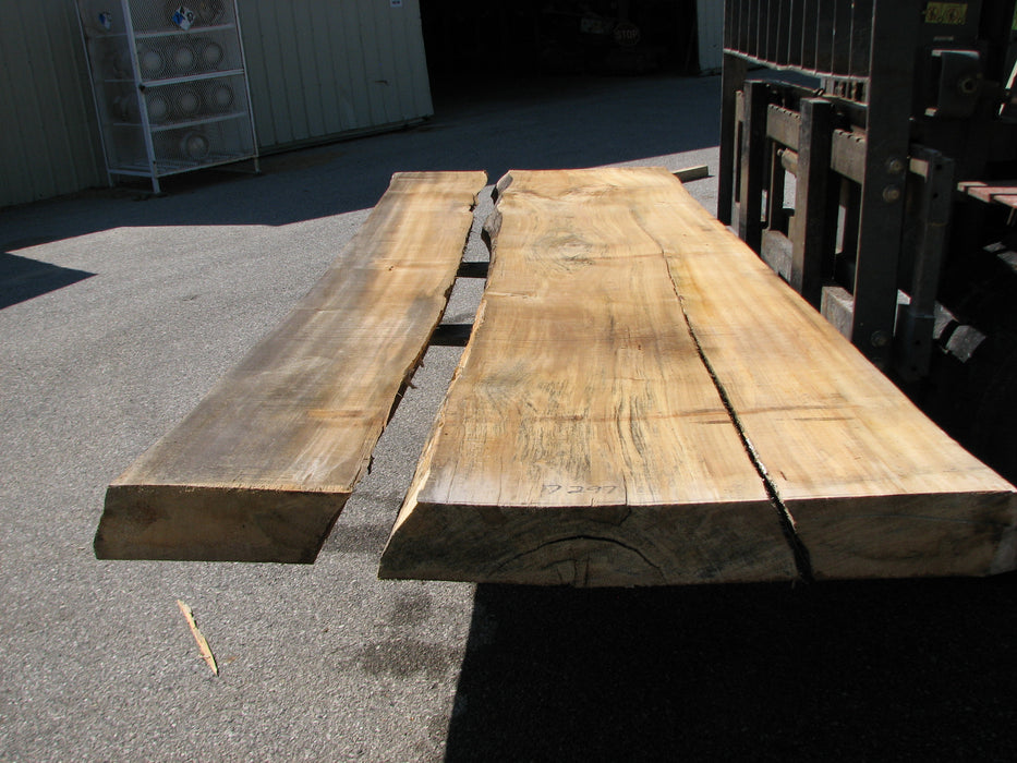 Cottonwood #7297(OC) - 5" x 44" to 50" x 140" FREE SHIPPING within the Contiguous US. freeshipping - Big Wood Slabs
