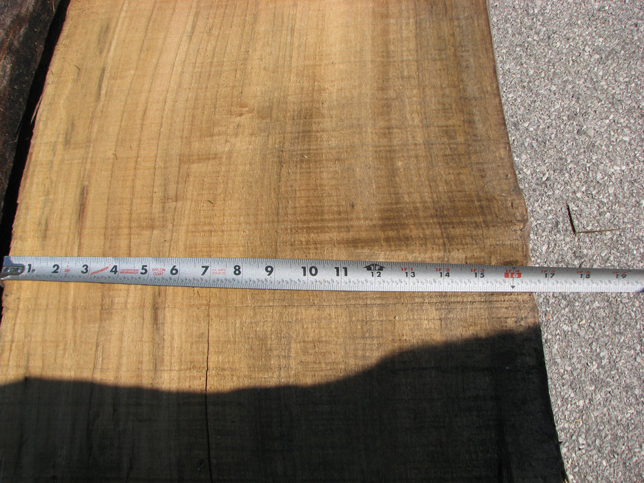 Cottonwood #7297(OC) - 5" x 44" to 50" x 140" FREE SHIPPING within the Contiguous US. freeshipping - Big Wood Slabs