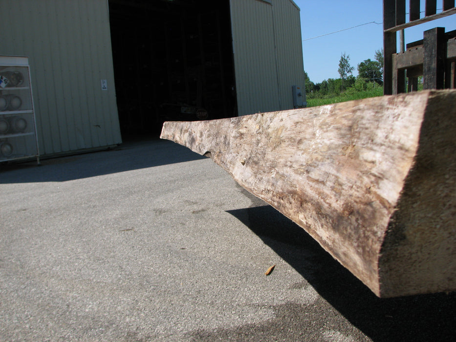 Cottonwood #7297(OC) - 5" x 44" to 50" x 140" FREE SHIPPING within the Contiguous US. freeshipping - Big Wood Slabs