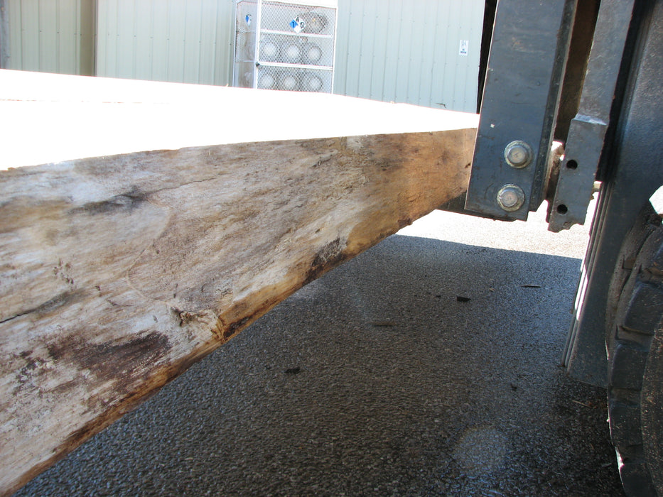 Cottonwood #7297(OC) - 5" x 44" to 50" x 140" FREE SHIPPING within the Contiguous US. freeshipping - Big Wood Slabs