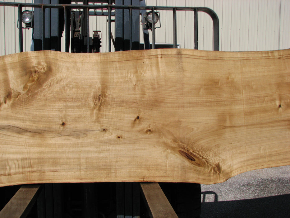 Cottonwood #7403(OC) 2-1/4" x 33" to 36" x 139" FREE SHIPPING within the Contiguous US. freeshipping - Big Wood Slabs