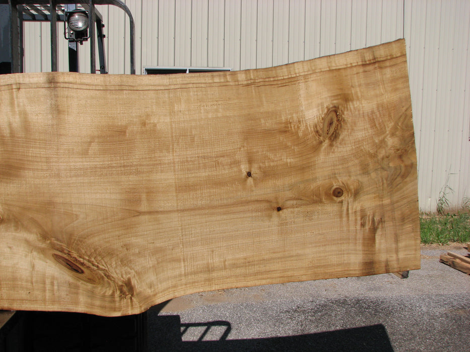 Cottonwood #7403(OC) 2-1/4" x 33" to 36" x 139" FREE SHIPPING within the Contiguous US. freeshipping - Big Wood Slabs