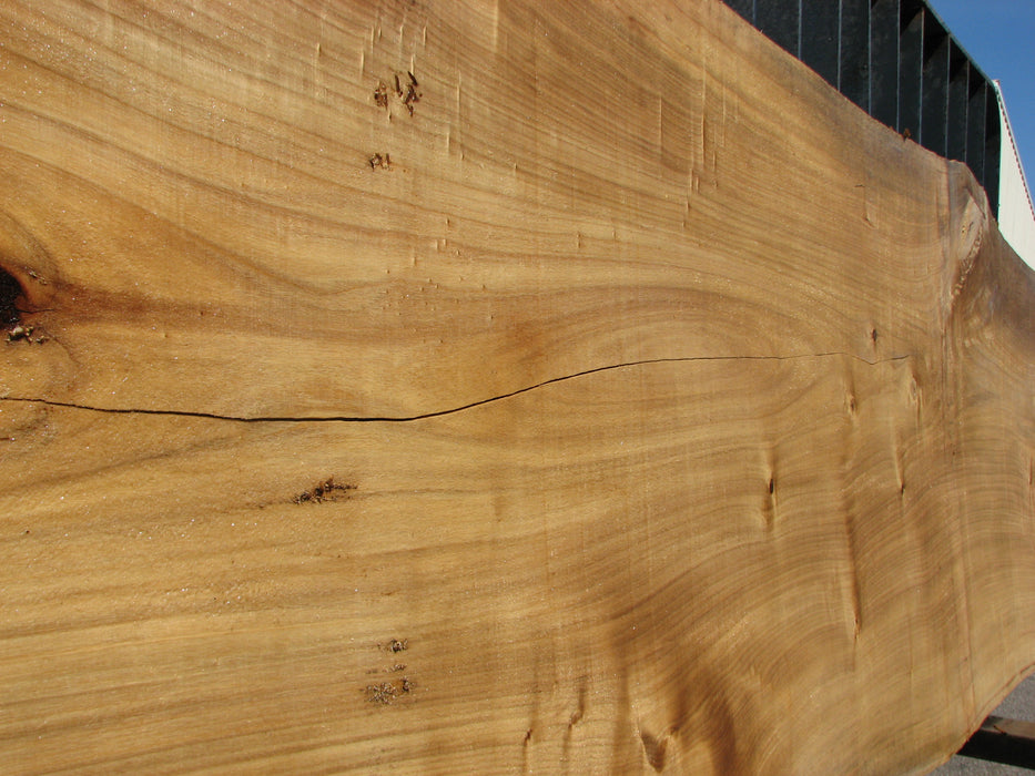 Cottonwood #7403(OC) 2-1/4" x 33" to 36" x 139" FREE SHIPPING within the Contiguous US. freeshipping - Big Wood Slabs