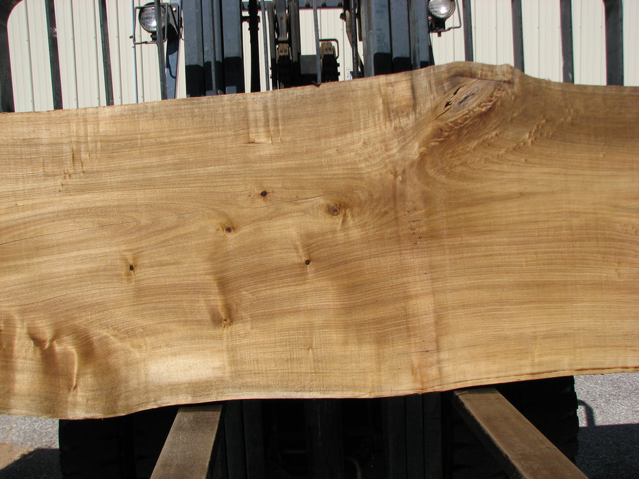 Cottonwood #7403(OC) 2-1/4" x 33" to 36" x 139" FREE SHIPPING within the Contiguous US. freeshipping - Big Wood Slabs