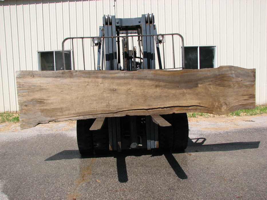 Cottonwood #7405(OC) - 2" x 15" to 28" x 142" FREE SHIPPING within the Contiguous US. freeshipping - Big Wood Slabs