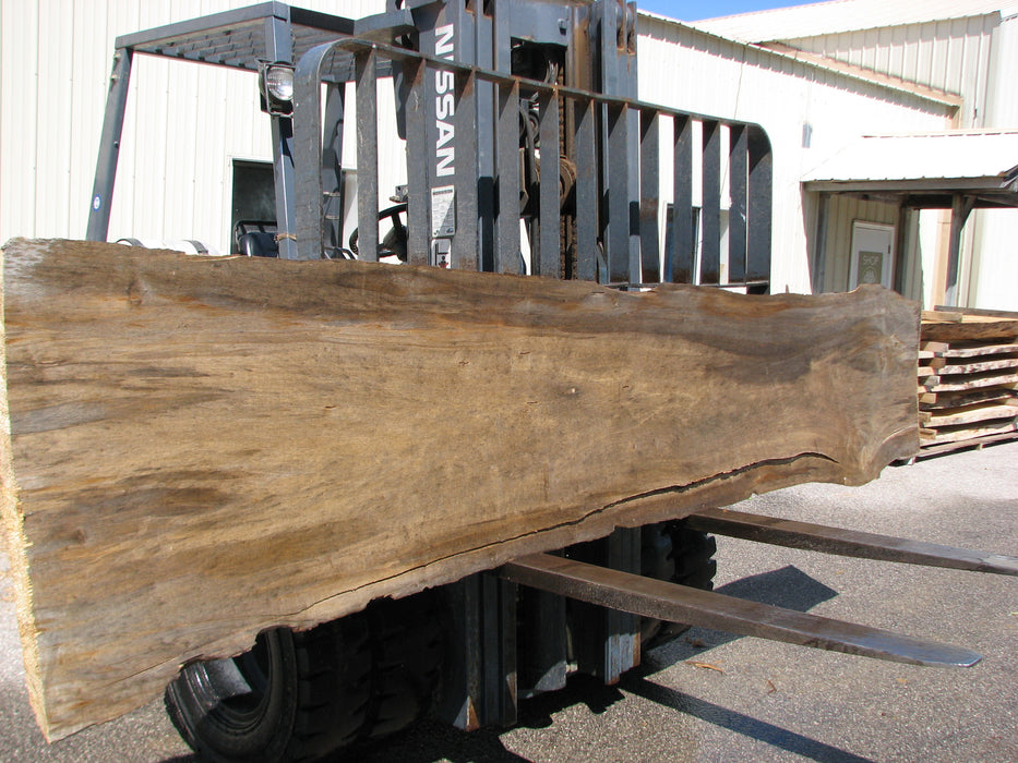 Cottonwood #7405(OC) - 2" x 15" to 28" x 142" FREE SHIPPING within the Contiguous US. freeshipping - Big Wood Slabs