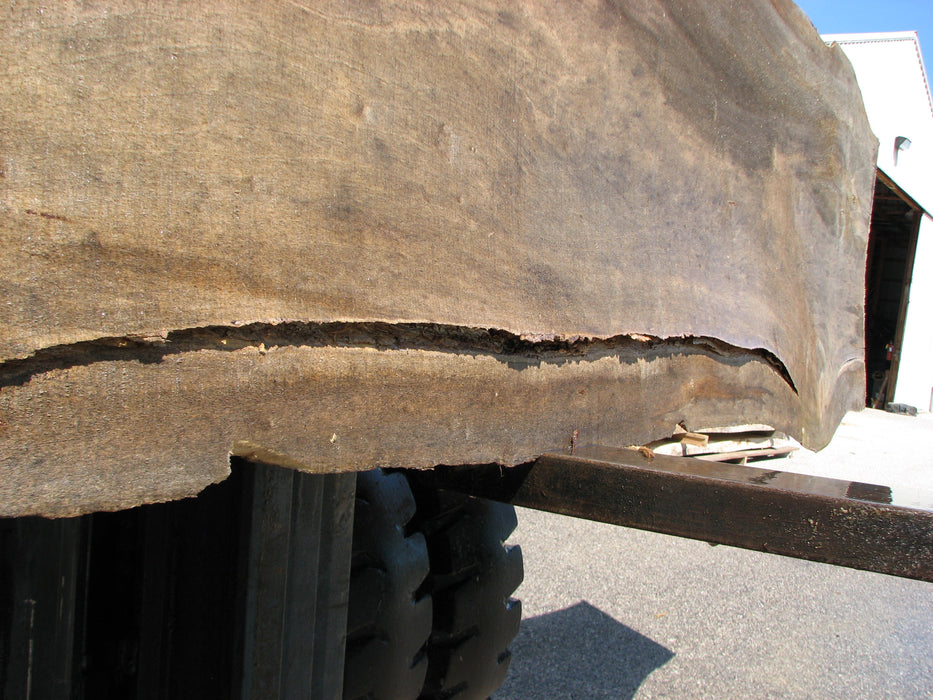 Cottonwood #7405(OC) - 2" x 15" to 28" x 142" FREE SHIPPING within the Contiguous US. freeshipping - Big Wood Slabs