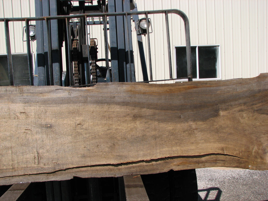 Cottonwood #7405(OC) - 2" x 15" to 28" x 142" FREE SHIPPING within the Contiguous US. freeshipping - Big Wood Slabs