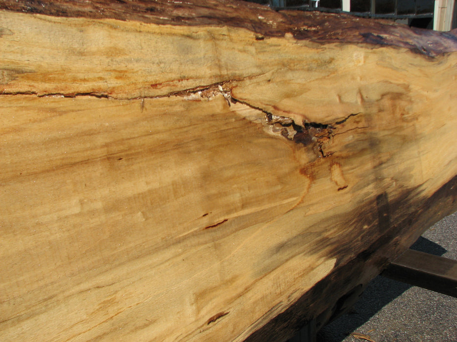 Cottonwood #7405(OC) - 2" x 15" to 28" x 142" FREE SHIPPING within the Contiguous US. freeshipping - Big Wood Slabs