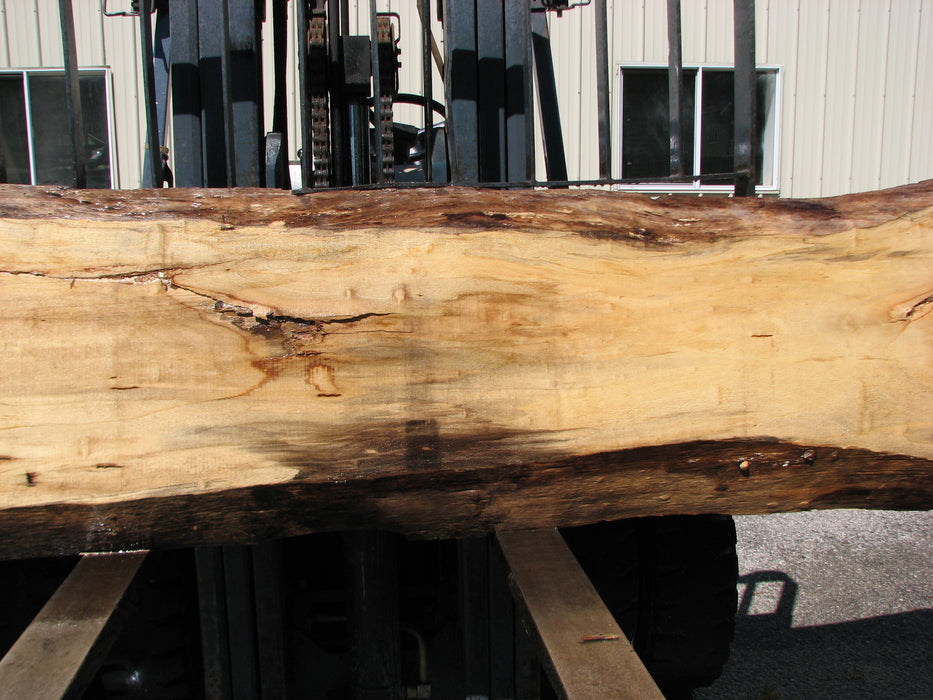 Cottonwood #7405(OC) - 2" x 15" to 28" x 142" FREE SHIPPING within the Contiguous US. freeshipping - Big Wood Slabs