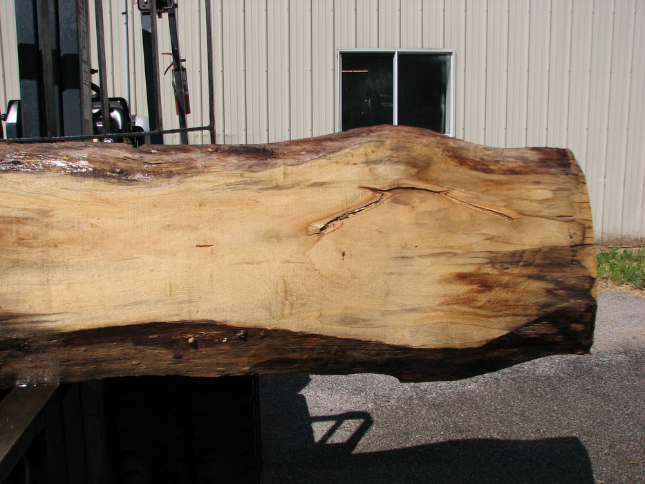 Cottonwood #7405(OC) - 2" x 15" to 28" x 142" FREE SHIPPING within the Contiguous US. freeshipping - Big Wood Slabs