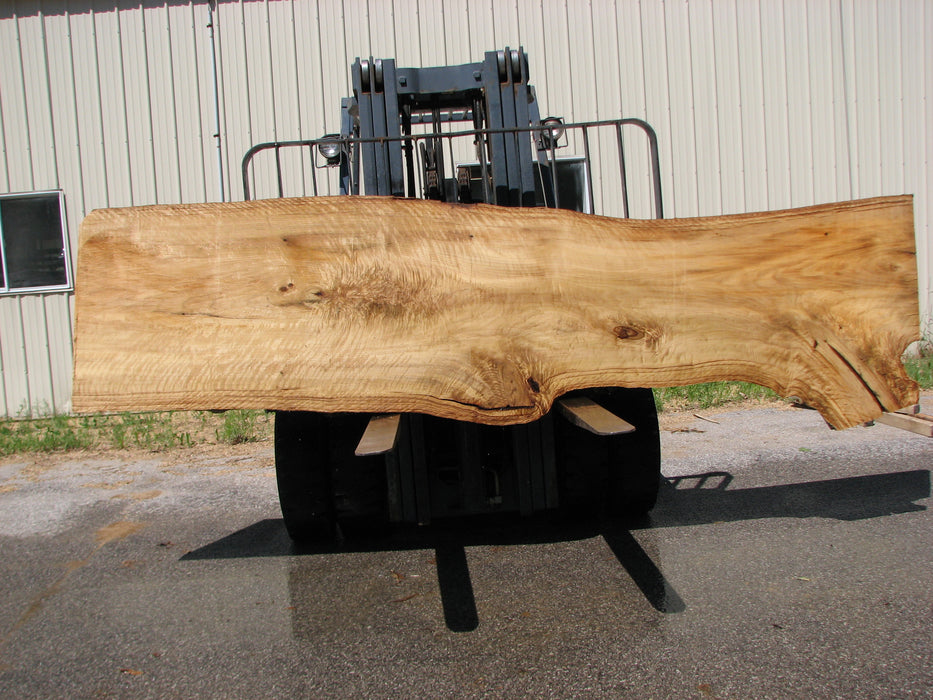 Cottonwood #7406(OC) - 2-1/2" x 25" to 38" x 146" FREE SHIPPING within the Contiguous US. freeshipping - Big Wood Slabs