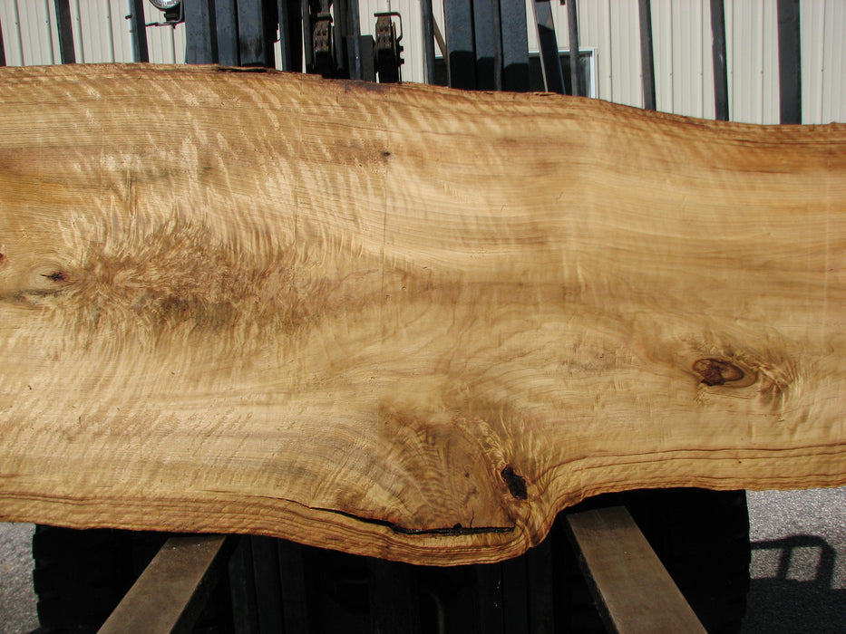 Cottonwood #7406(OC) - 2-1/2" x 25" to 38" x 146" FREE SHIPPING within the Contiguous US. freeshipping - Big Wood Slabs