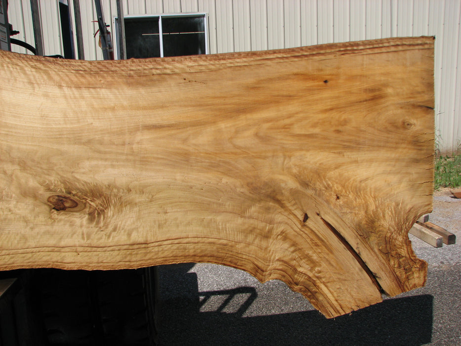 Cottonwood #7406(OC) - 2-1/2" x 25" to 38" x 146" FREE SHIPPING within the Contiguous US. freeshipping - Big Wood Slabs