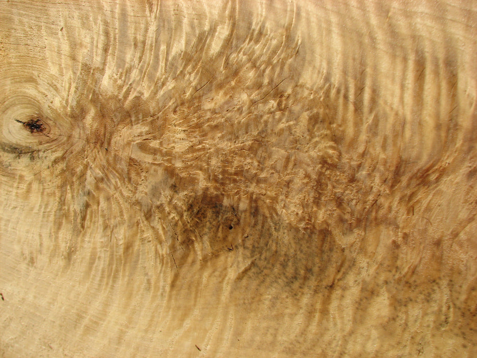 Cottonwood #7406(OC) - 2-1/2" x 25" to 38" x 146" FREE SHIPPING within the Contiguous US. freeshipping - Big Wood Slabs