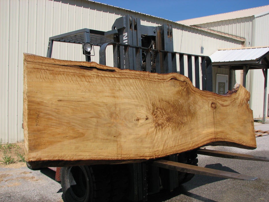 Cottonwood #7406(OC) - 2-1/2" x 25" to 38" x 146" FREE SHIPPING within the Contiguous US. freeshipping - Big Wood Slabs