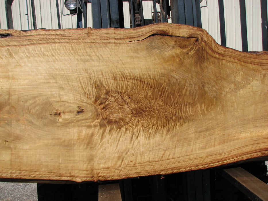 Cottonwood #7406(OC) - 2-1/2" x 25" to 38" x 146" FREE SHIPPING within the Contiguous US. freeshipping - Big Wood Slabs