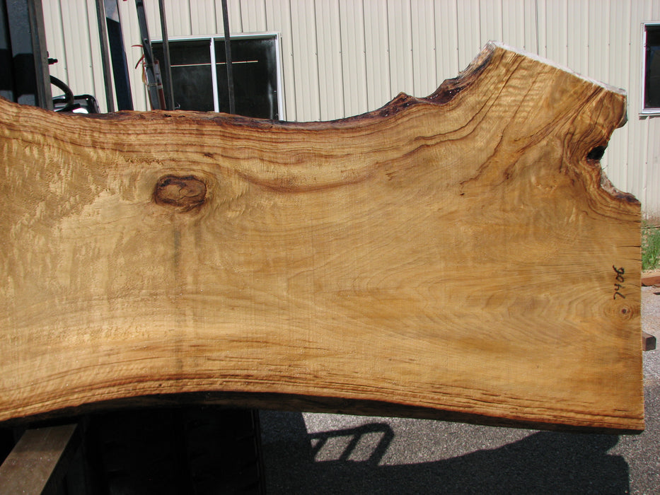 Cottonwood #7406(OC) - 2-1/2" x 25" to 38" x 146" FREE SHIPPING within the Contiguous US. freeshipping - Big Wood Slabs