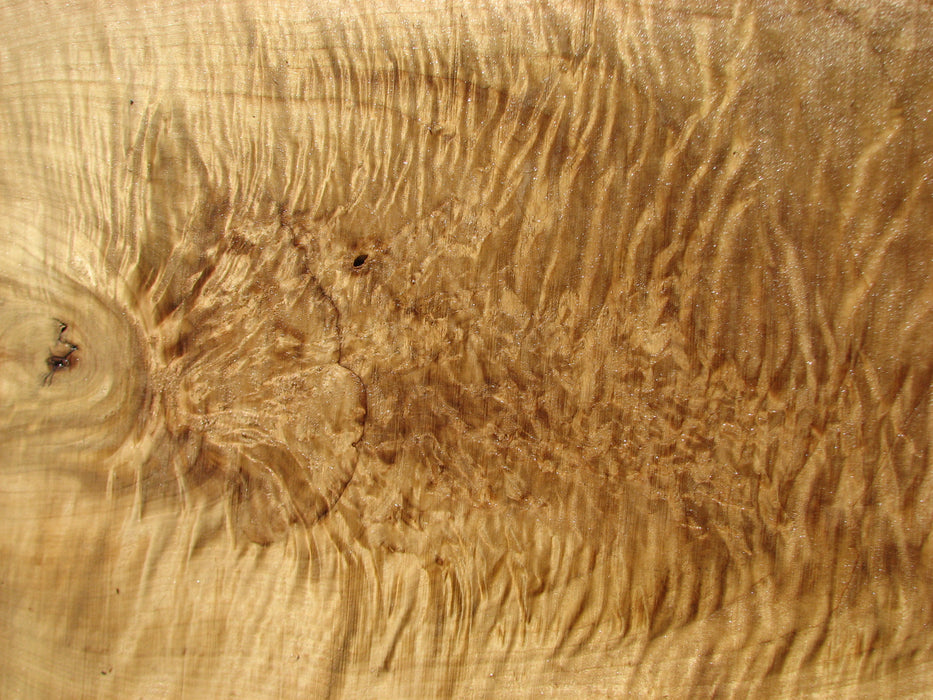 Cottonwood #7406(OC) - 2-1/2" x 25" to 38" x 146" FREE SHIPPING within the Contiguous US. freeshipping - Big Wood Slabs