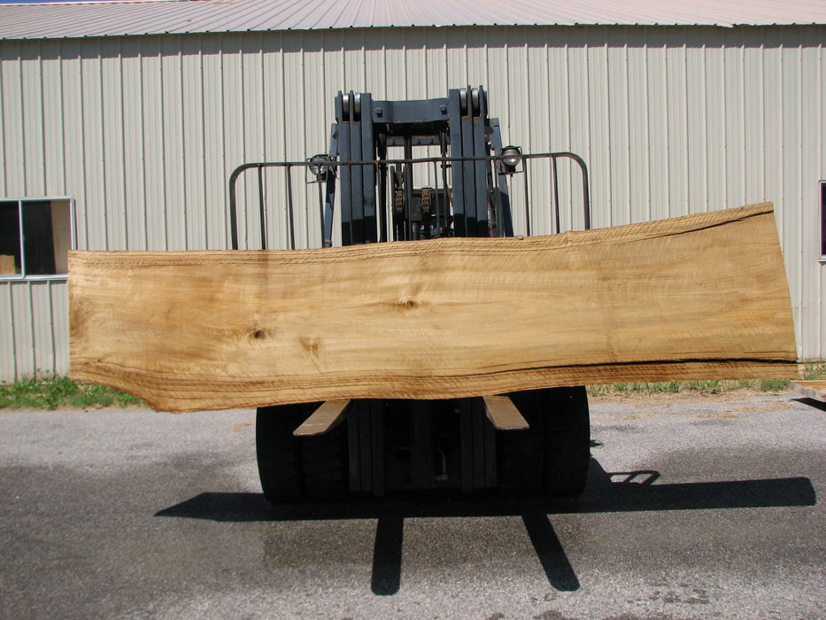 Cottonwood #7408(OC) - 2-3/4" x 23" to 32" x 143" FREE SHIPPING within the Contiguous US. freeshipping - Big Wood Slabs