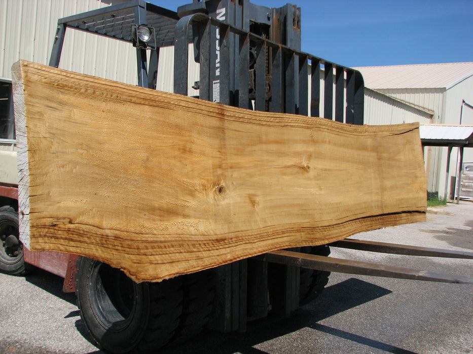 Cottonwood #7408(OC) - 2-3/4" x 23" to 32" x 143" FREE SHIPPING within the Contiguous US. freeshipping - Big Wood Slabs