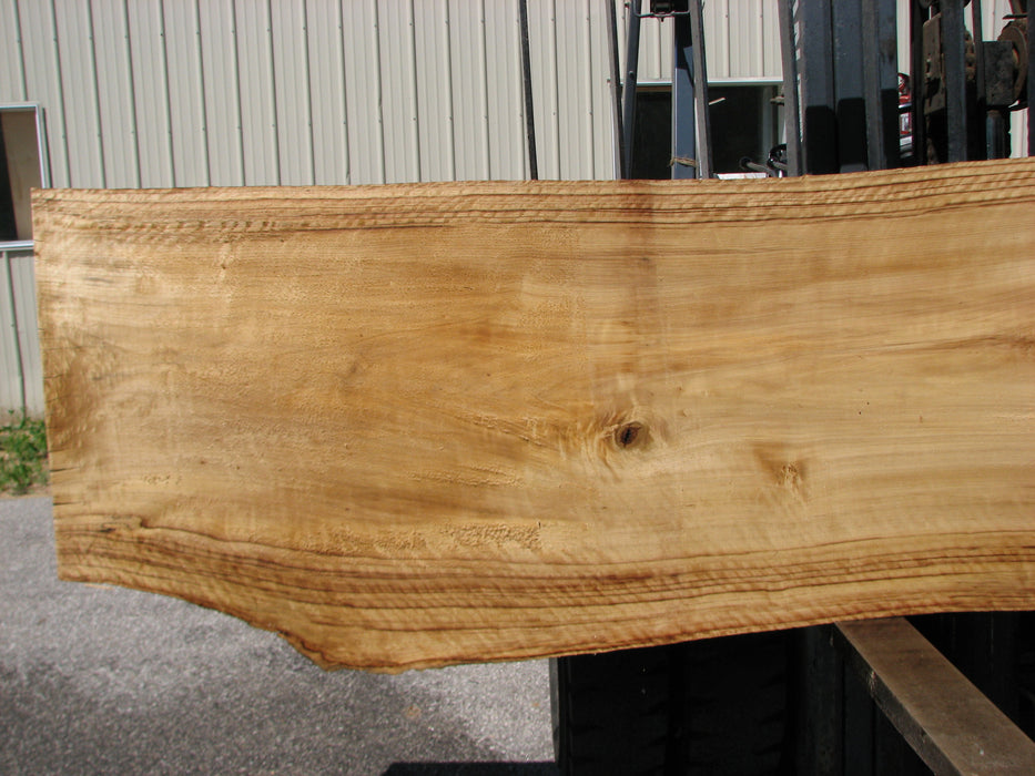 Cottonwood #7408(OC) - 2-3/4" x 23" to 32" x 143" FREE SHIPPING within the Contiguous US. freeshipping - Big Wood Slabs