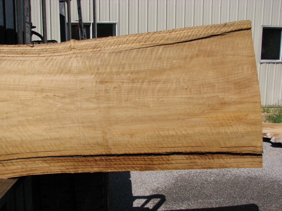 Cottonwood #7408(OC) - 2-3/4" x 23" to 32" x 143" FREE SHIPPING within the Contiguous US. freeshipping - Big Wood Slabs