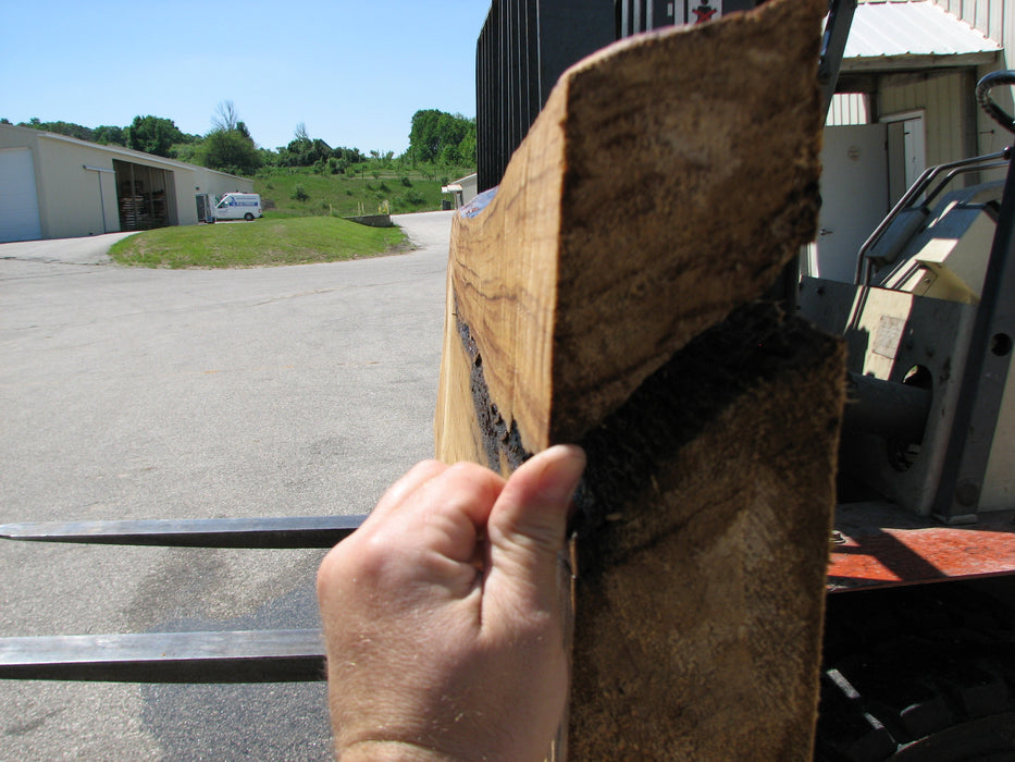 Cottonwood #7408(OC) - 2-3/4" x 23" to 32" x 143" FREE SHIPPING within the Contiguous US. freeshipping - Big Wood Slabs