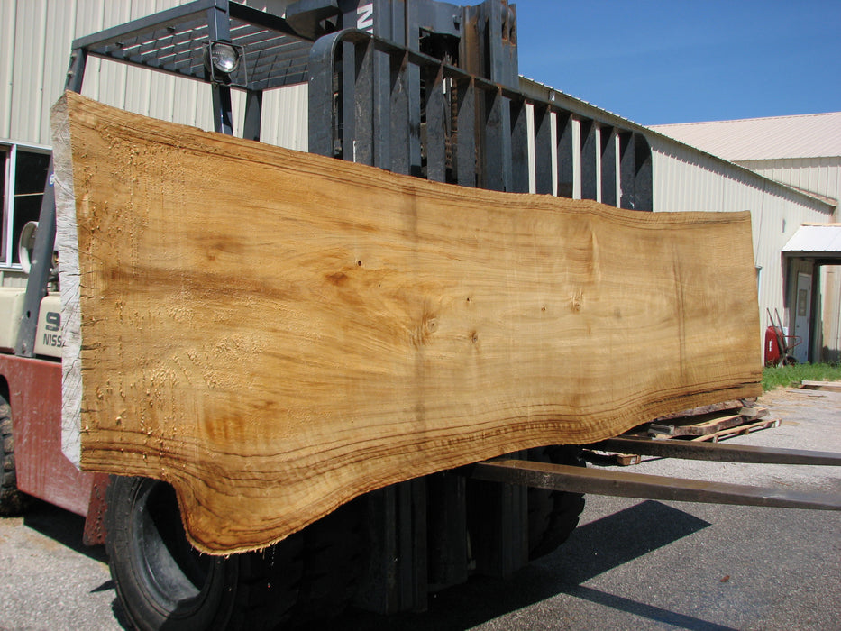 Cottonwood #7409(OC) - 2" x 30" to 35" x 142" FREE SHIPPING within the Contiguous US. freeshipping - Big Wood Slabs